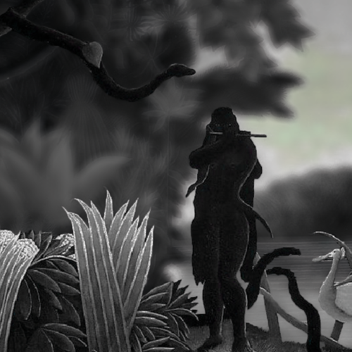 SELVA NEGRA extrait de parfum elegante e intenso